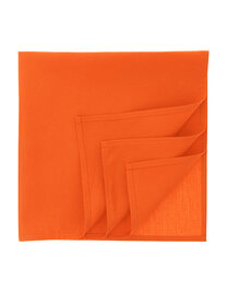 Bandana Goal-S (Hover)