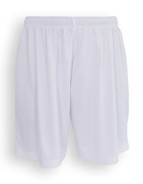 Evolution Shorts (Hover)