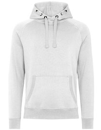 Unisex Premium Raglan Hoody (Hover)