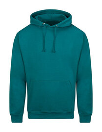 College Hoodie (Hover)