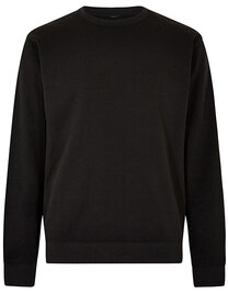 Regular Fit Sweatshirt (Hover)