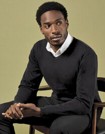 Regular Fit Arundel V-Neck Sweater