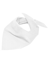 Triangular Scarf (Hover)