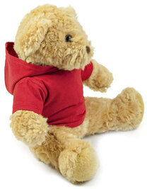 Teddy Hoodie