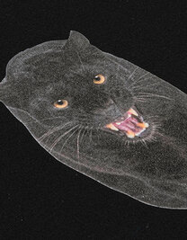 CAD-COLOR® Solvent Flock (Hover)