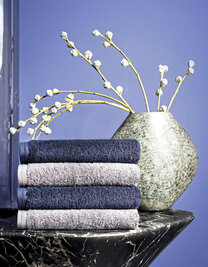 Vegan Life Gästetuch